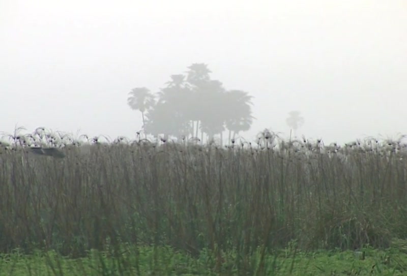 Video frame
