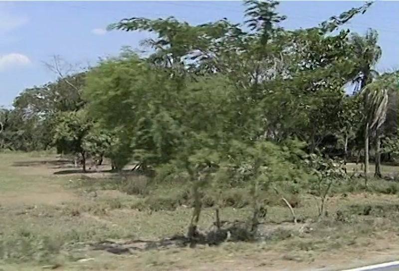 Video frame