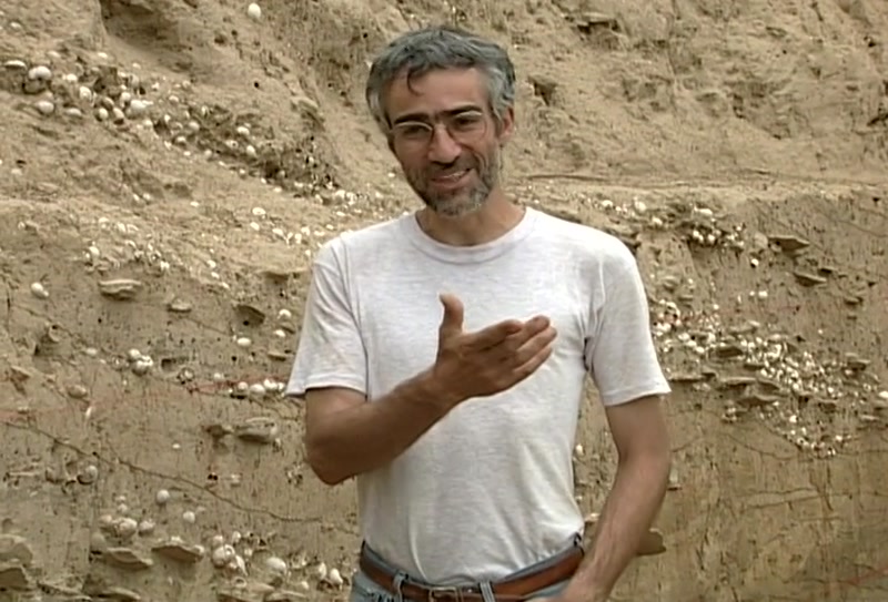 Video frame