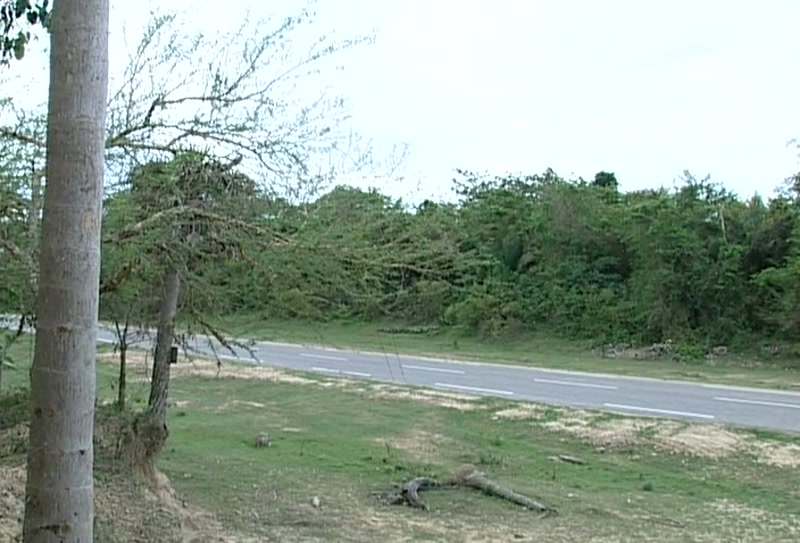 Video frame