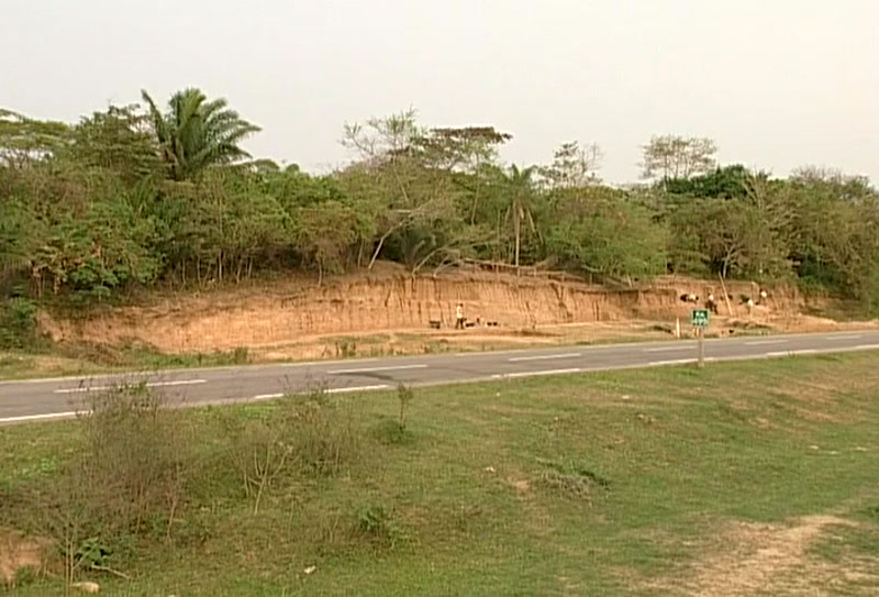 Video frame