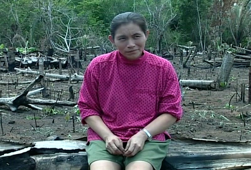 Video frame
