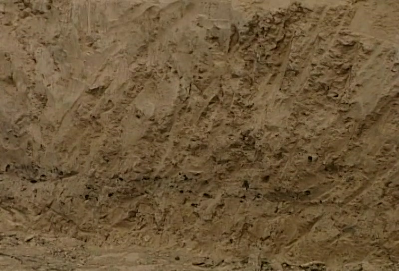 Video frame