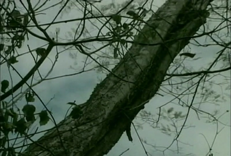 Video frame