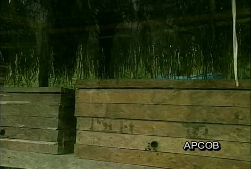 Video frame