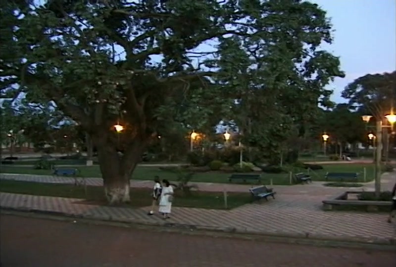 Video frame