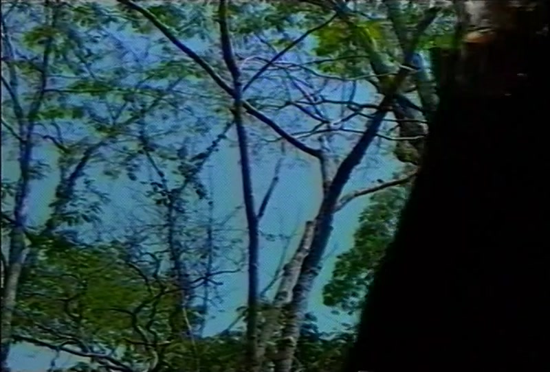 Video frame