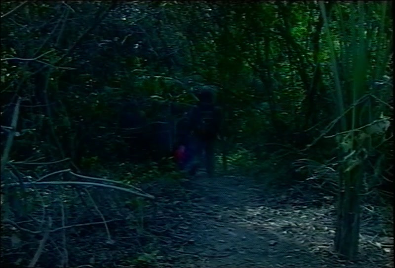 Video frame