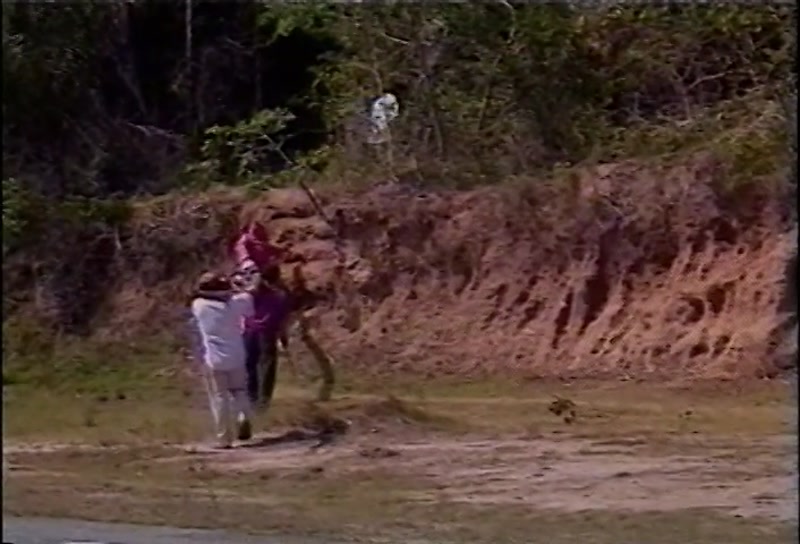 Video frame