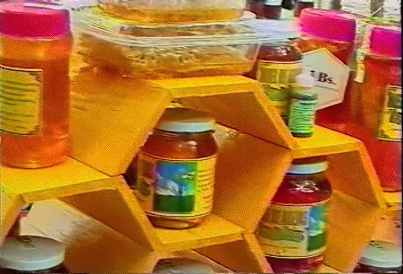 Video frame