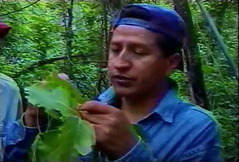 Video frame