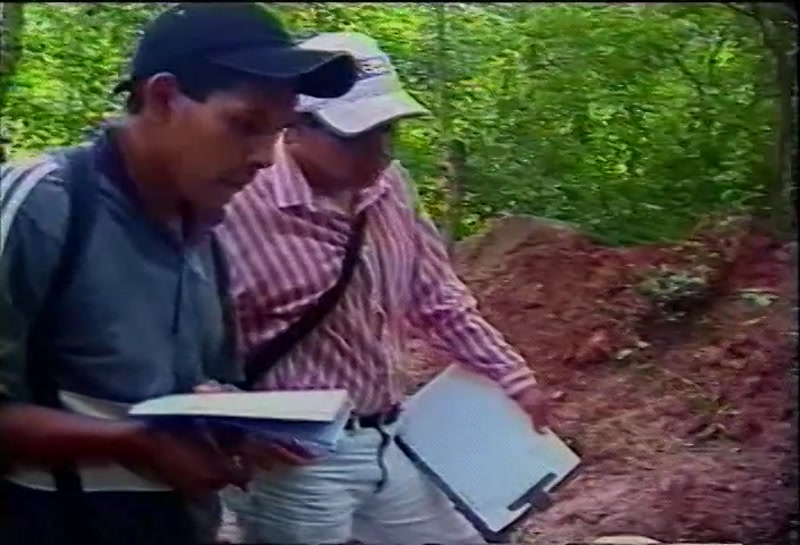 Video frame