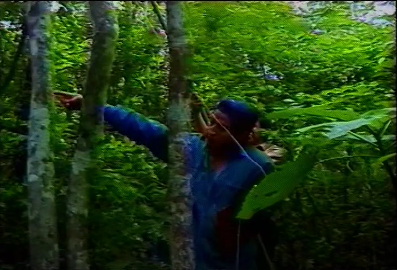 Video frame