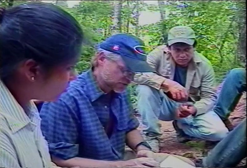 Video frame