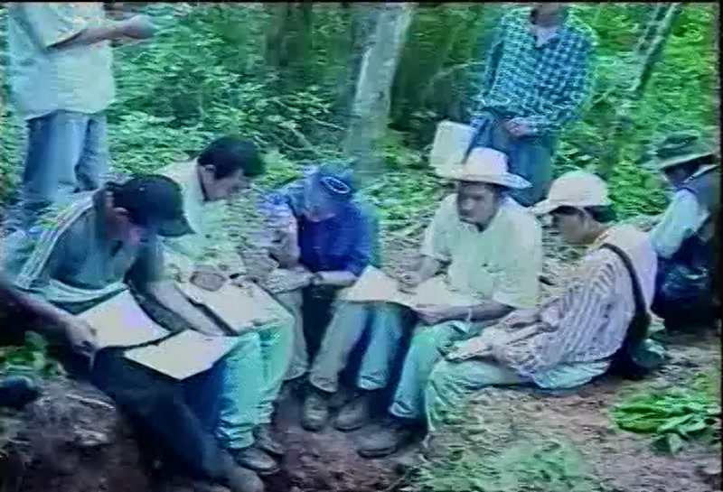 Video frame