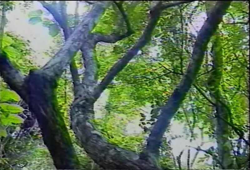 Video frame