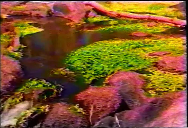 Video frame