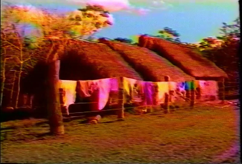 Video frame