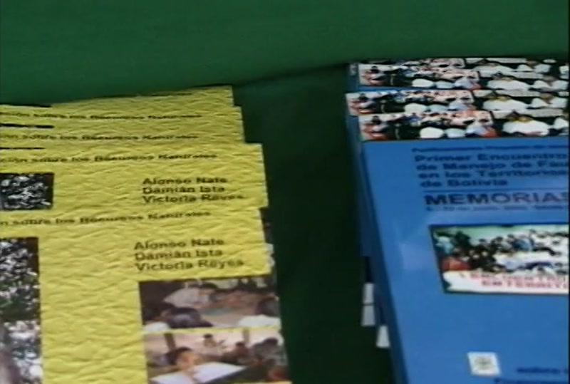 Video frame