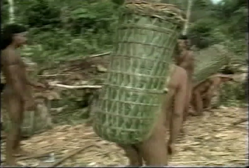 Video frame