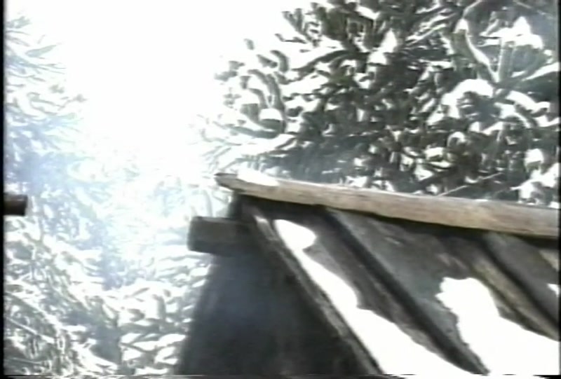 Video frame