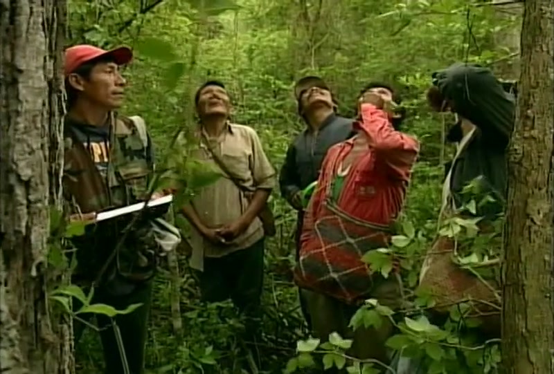 Video frame