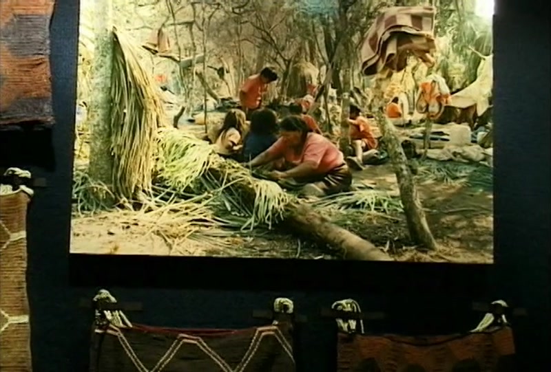 Video frame
