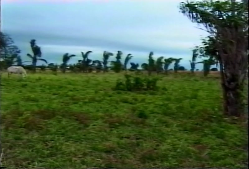 Video frame