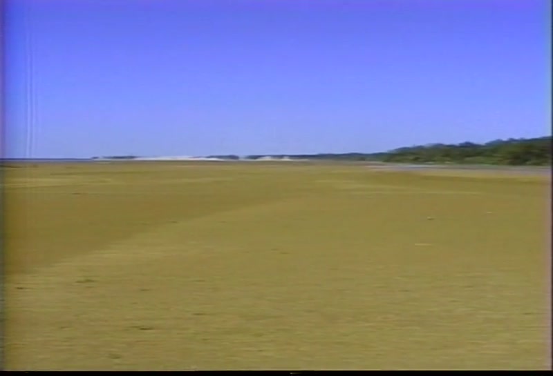 Video frame