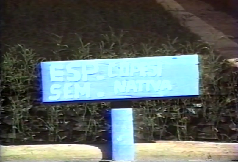 Video frame