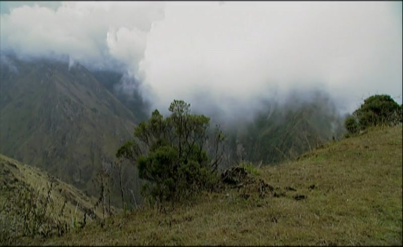 Video frame