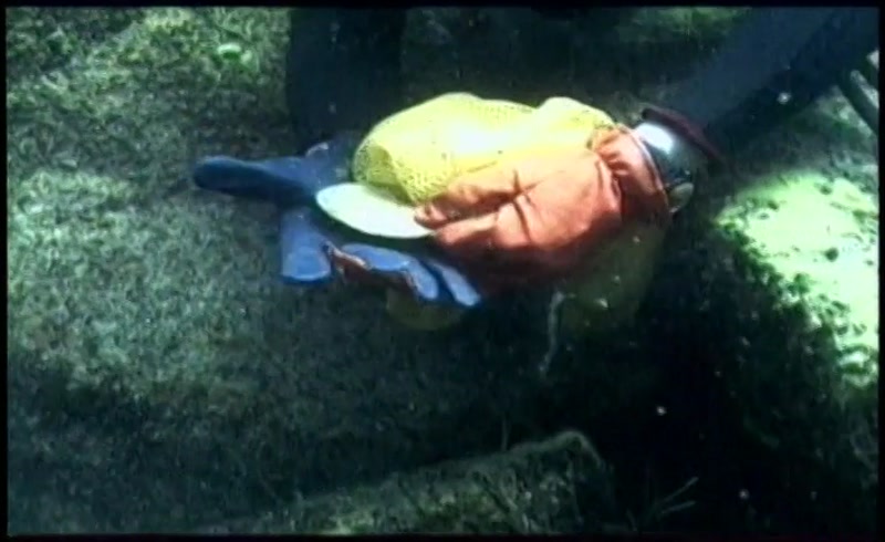 Video frame