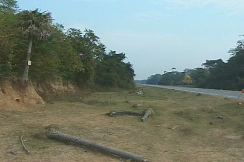 Video frame