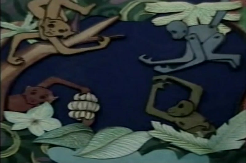Video frame