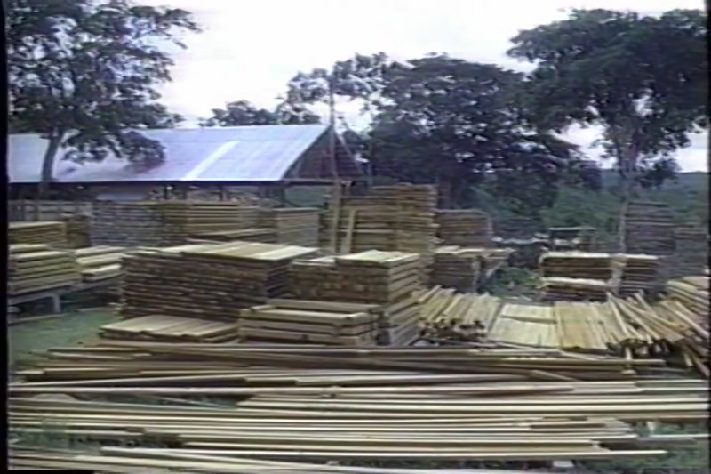 Video frame