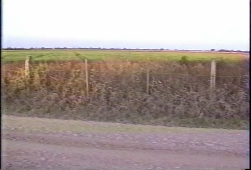 Video frame