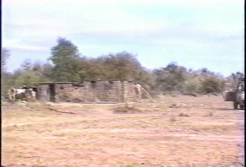 Video frame