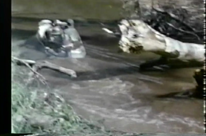 Video frame