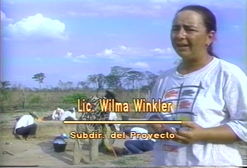 Video frame