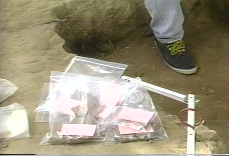Video frame