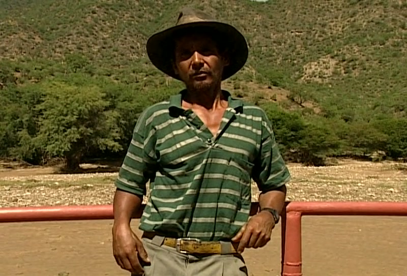 Video frame