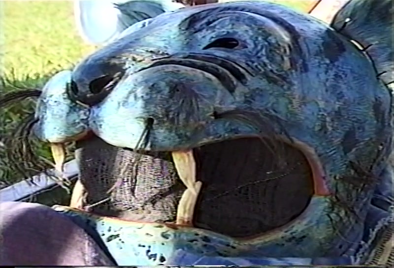 Video frame