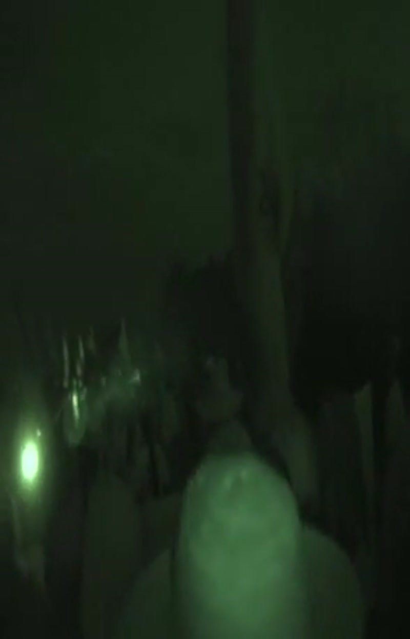 Video frame