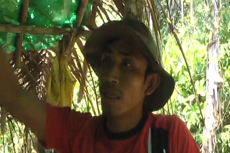 Video frame