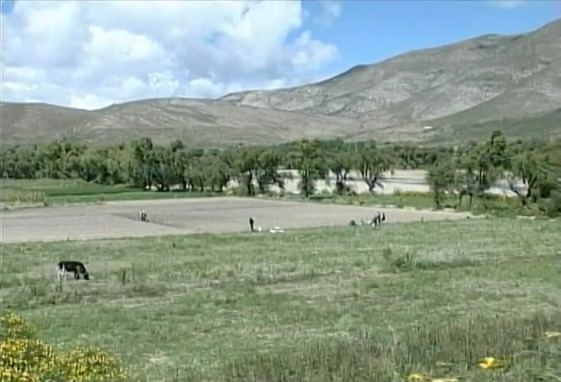 Video frame