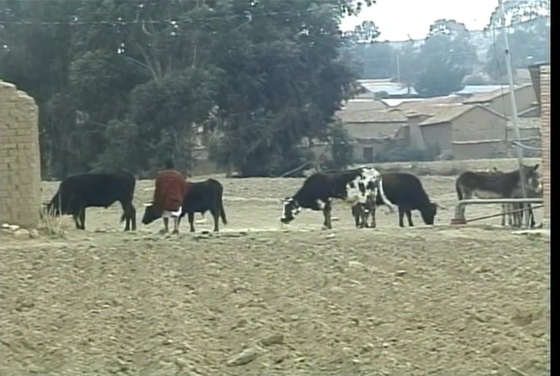 Video frame