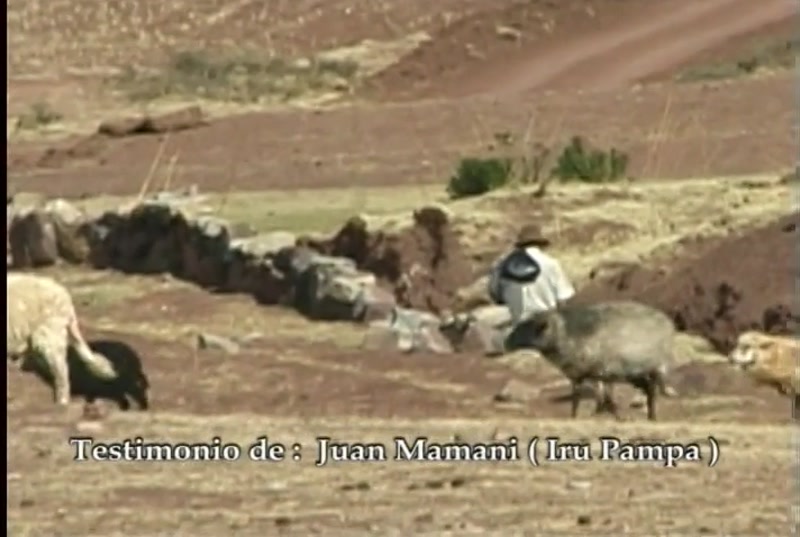 Video frame