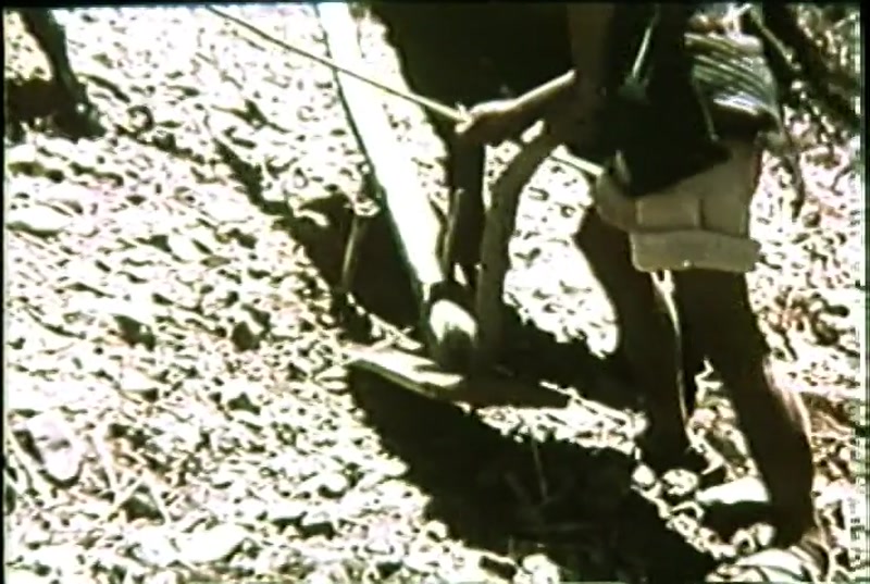 Video frame