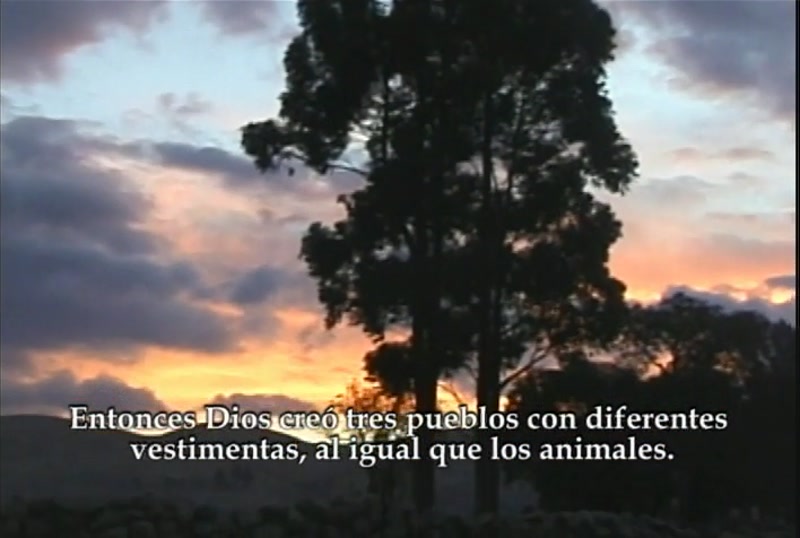 Video frame