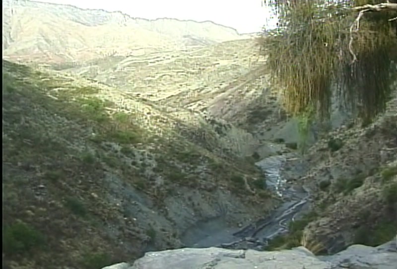 Video frame